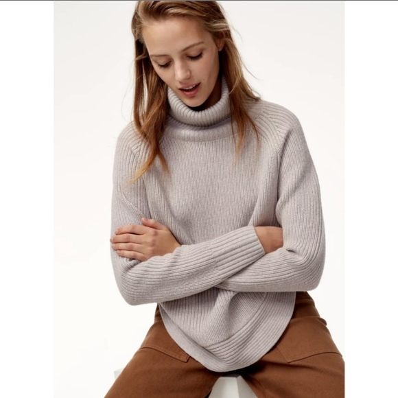 Aritzia Sweaters - WILFRED FREE Asianna Sweater 100% Merino Wool Turtleneck Small Aritzia